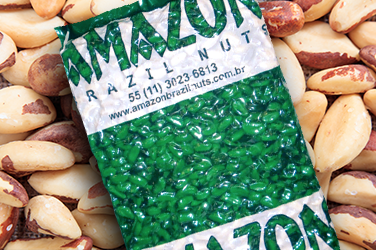 Amazon Brazil Nuts